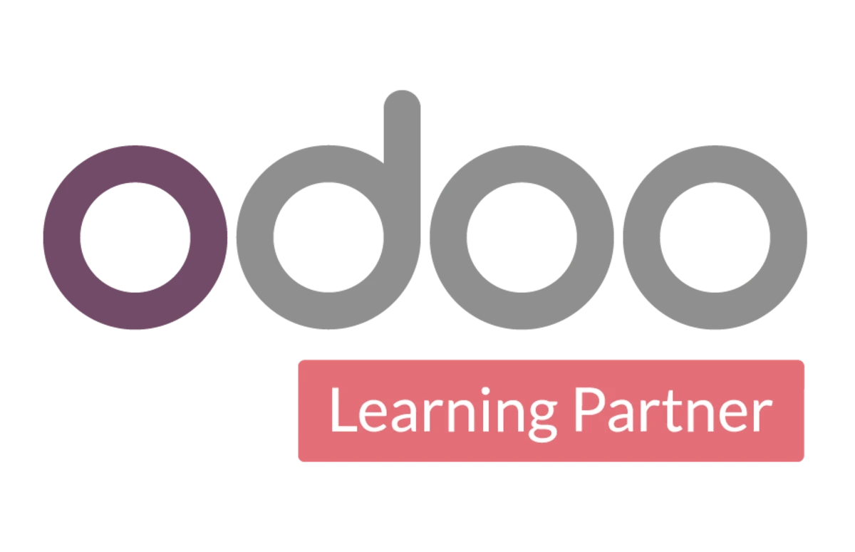 Odoo partner